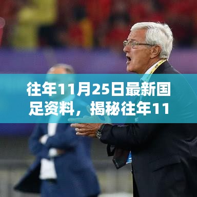 揭秘往年11月25日国足最新资料，深度解析三大要点回顾当日盛况
