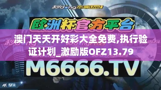 澳门天天开好彩大全免费,执行验证计划_激励版OFZ13.79