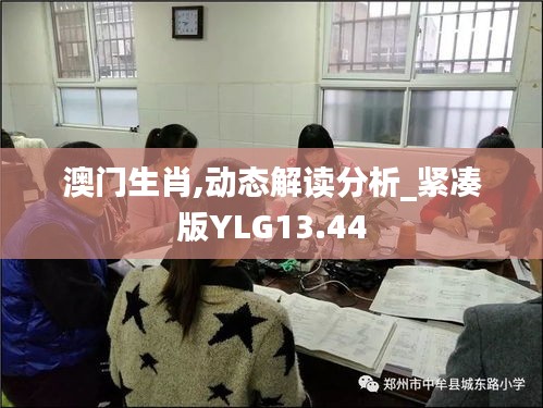 澳门生肖,动态解读分析_紧凑版YLG13.44
