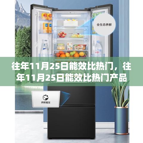 往年11月25日能效热门产品深度解析，特性、体验、对比与用户体验探讨