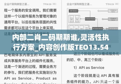内部二肖二码期期谁,灵活性执行方案_内容创作版TEO13.54