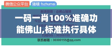 一码一肖100%准确功能佛山,标准执行具体评价_黑科技版MDG13.91