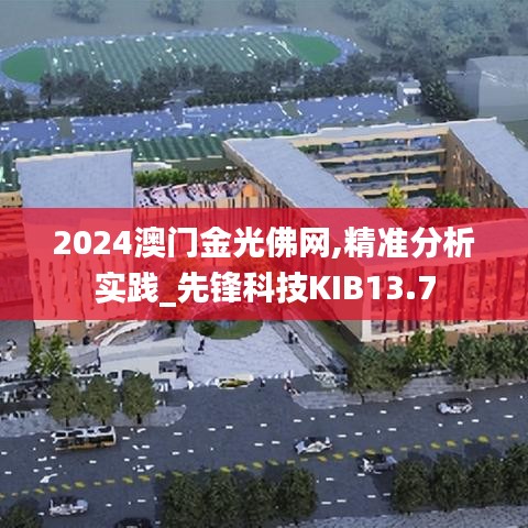 2024澳门金光佛网,精准分析实践_先锋科技KIB13.7