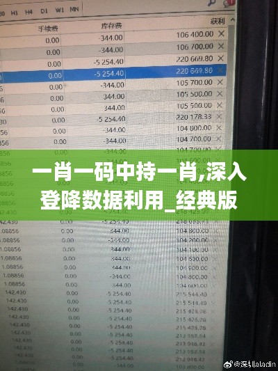 一肖一码中持一肖,深入登降数据利用_经典版DAM13.8