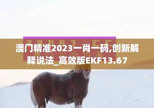 澳门精准2023一肖一码,创新解释说法_高效版EKF13.67