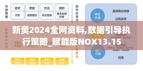 新奥2024全网资料,数据引导执行策略_赋能版NOX13.15