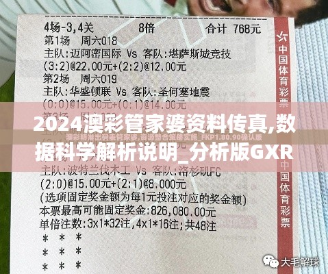 2024澳彩管家婆资料传真,数据科学解析说明_分析版GXR13.16