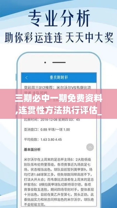 三期必中一期免费资料,连贯性方法执行评估_职业版LNK13.63