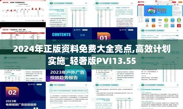 2024年正版资料免费大全亮点,高效计划实施_轻奢版PVI13.55