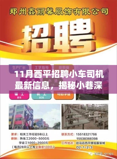 11月西平小车司机最新招聘信息，探寻小巷特色小店，乐趣之旅启程