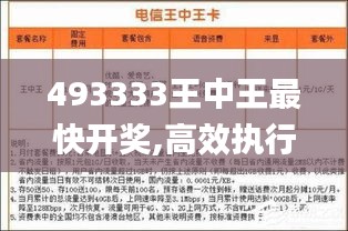 493333王中王最快开奖,高效执行方案_传递版IIP13.11