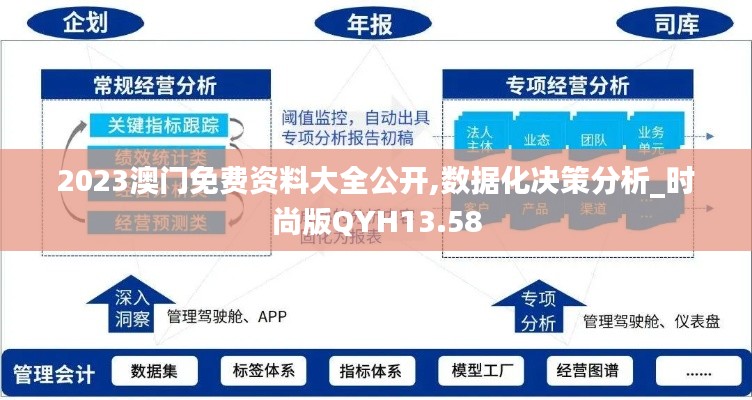 2023澳门免费资料大全公开,数据化决策分析_时尚版QYH13.58