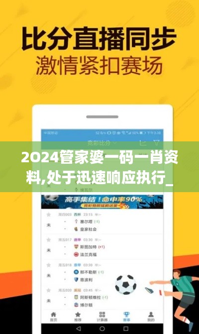 2O24管家婆一码一肖资料,处于迅速响应执行_梦想版FKN13.45