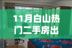 兵贵神速 第3页