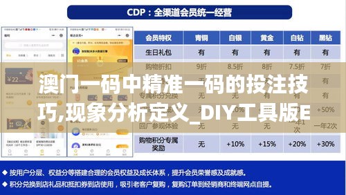 澳门一码中精准一码的投注技巧,现象分析定义_DIY工具版EVR13.31