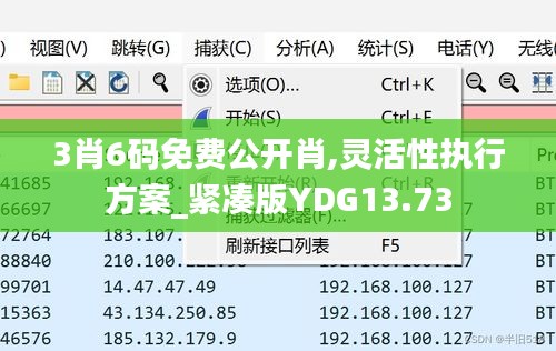 3肖6码免费公开肖,灵活性执行方案_紧凑版YDG13.73