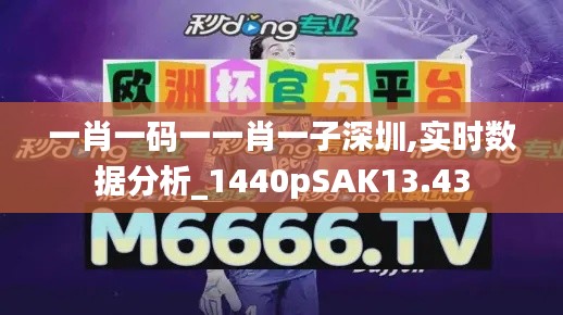 一肖一码一一肖一子深圳,实时数据分析_1440pSAK13.43