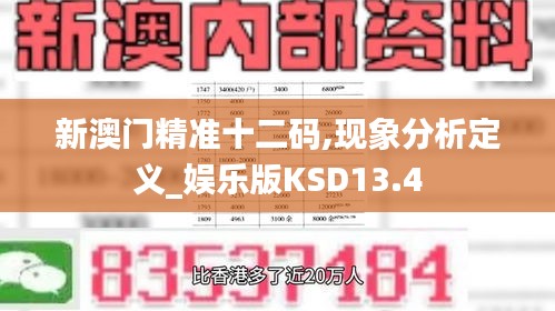 新澳门精准十二码,现象分析定义_娱乐版KSD13.4