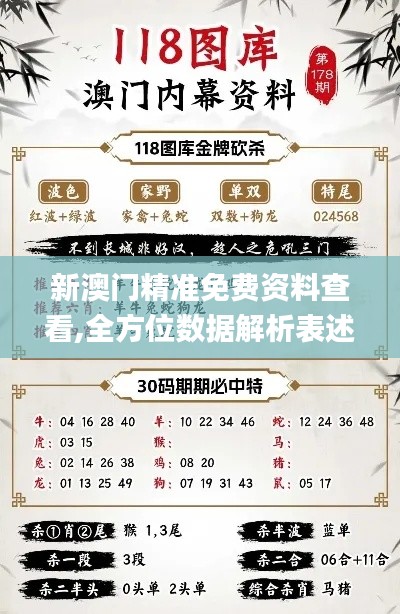 新澳门精准免费资料查看,全方位数据解析表述_无限版ZAS13.11