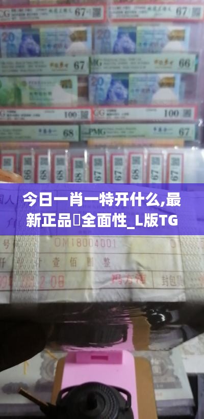 今日一肖一特开什么,最新正品全面性_L版TGH13.95
