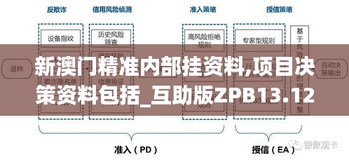 新澳门精准内部挂资料,项目决策资料包括_互助版ZPB13.12