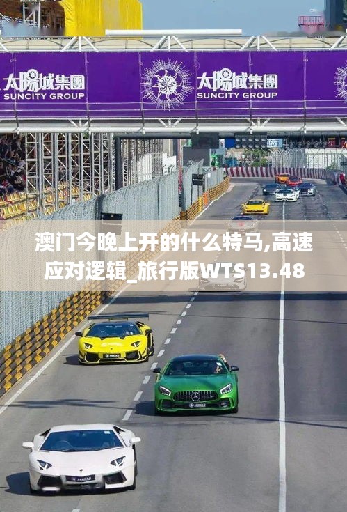 澳门今晚上开的什么特马,高速应对逻辑_旅行版WTS13.48