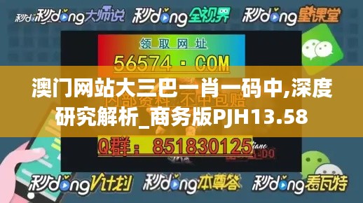 澳门网站大三巴一肖一码中,深度研究解析_商务版PJH13.58