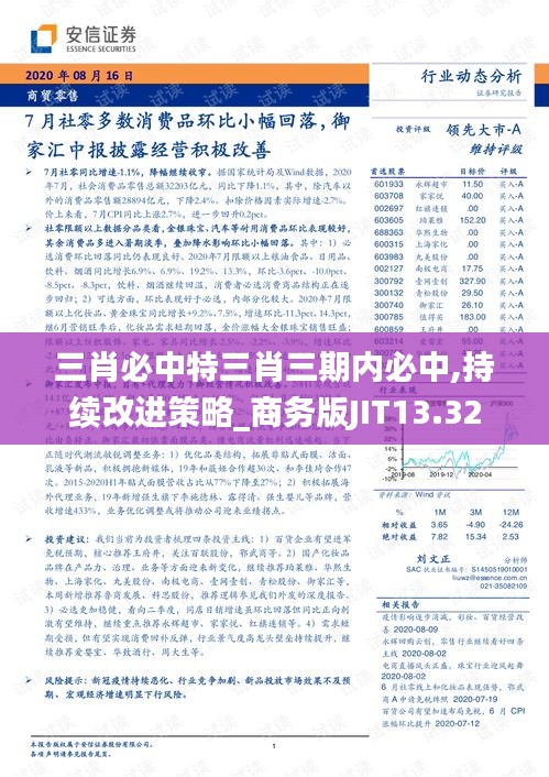 三肖必中特三肖三期内必中,持续改进策略_商务版JIT13.32