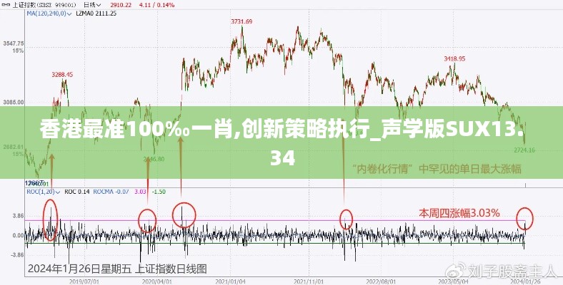 香港最准100‰一肖,创新策略执行_声学版SUX13.34