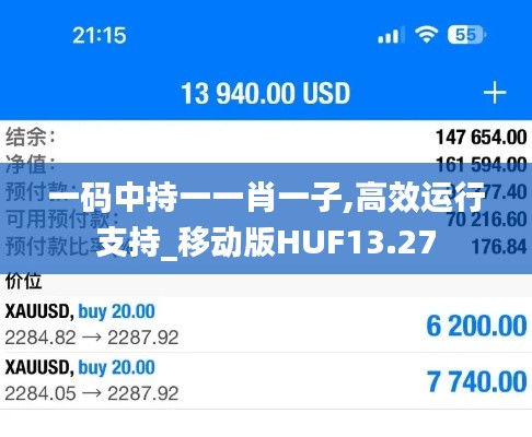 一码中持一一肖一子,高效运行支持_移动版HUF13.27