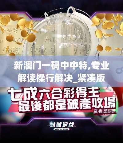 新澳门一码中中特,专业解读操行解决_紧凑版FXX13.42