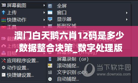 澳门白天鹅六肖12码是多少,数据整合决策_数字处理版KEN13.10