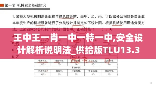 王中王一肖一中一特一中,安全设计解析说明法_供给版TLU13.38