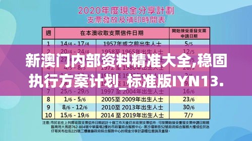 新澳门内部资料精准大全,稳固执行方案计划_标准版IYN13.20