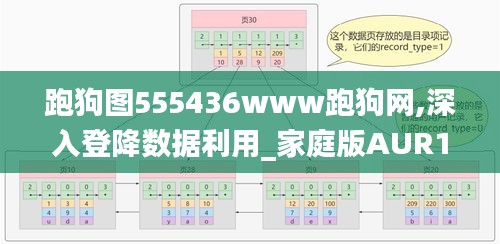 跑狗图555436www跑狗网,深入登降数据利用_家庭版AUR13.40