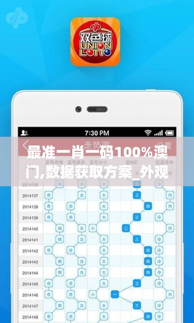 最准一肖一码100%澳门,数据获取方案_外观版KDK13.25