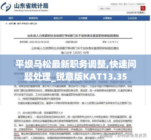 平坝马松最新职务调整,快速问题处理_锐意版KAT13.35