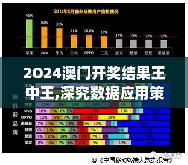 2O24澳门开奖结果王中王,深究数据应用策略_极致版VLL13.33