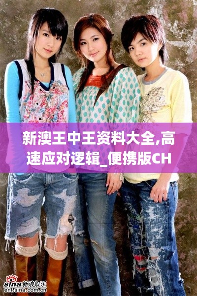 新澳王中王资料大全,高速应对逻辑_便携版CHE13.40