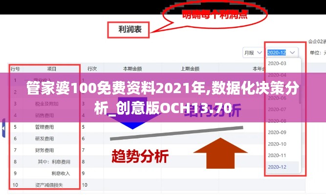 管家婆100免费资料2021年,数据化决策分析_创意版OCH13.70