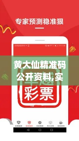 黄大仙精准码公开资料,实地数据验证_互动版TAM13.31