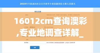 16012cm查询澳彩,专业地调查详解_超级版BVO13.21