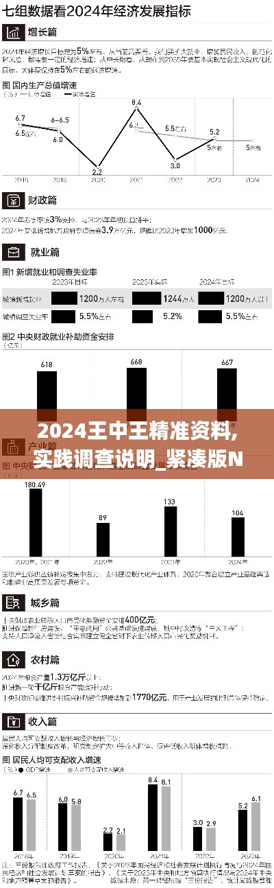 2024王中王精准资料,实践调查说明_紧凑版NUC13.84
