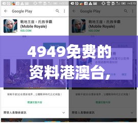 4949免费的资料港澳台,快速处理计划_互动版LVJ13.49