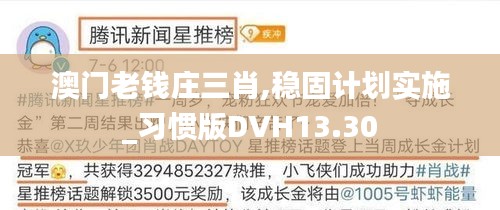 澳门老钱庄三肖,稳固计划实施_习惯版DVH13.30