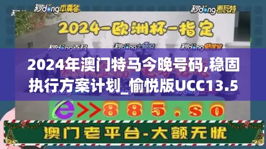 2024年澳门特马今晚号码,稳固执行方案计划_愉悦版UCC13.59