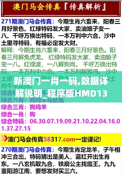 新澳门一肖一码,数据详解说明_程序版HMD13.83