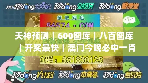 天神预测｜600图库｜八百图库｜开奖最快｜澳门今晚必中一肖一码｜2024王中王开奖十,案例实证分析_月光版QFY13.56