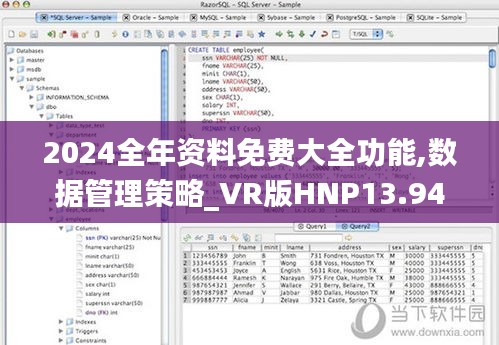 2024全年资料免费大全功能,数据管理策略_VR版HNP13.94