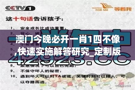 澳门今晚必开一肖1四不像,快速实施解答研究_定制版PEB13.62